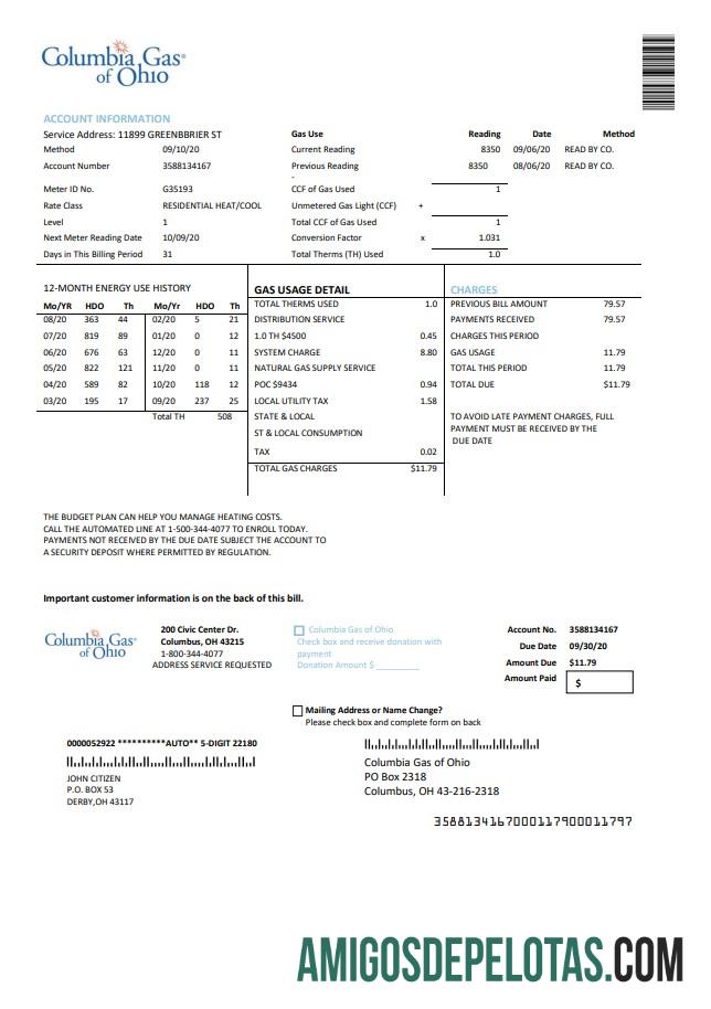 Para baixar modelo de conta de serviços públicos Columbia Gas Of Ohio dos EUA em formato Word e PDF